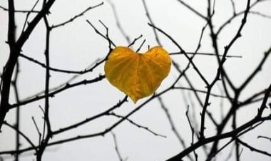 Vefalı bir yüreğe denk gelmek şans