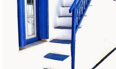 Toksit insanlardan uzak