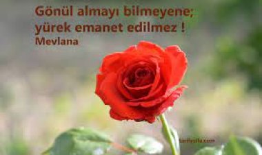 Bizim Gönül - Emanet şarkı sözleri