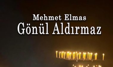 Mehmet Elmas - Gönül Aldırmaz şarkı sözleri
