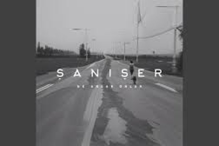 Şanışer - Ne Anlar Onlar