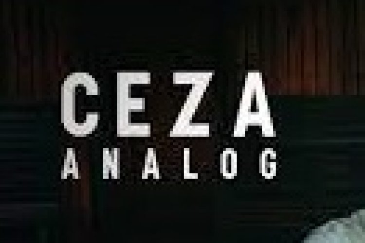Ceza - Analog