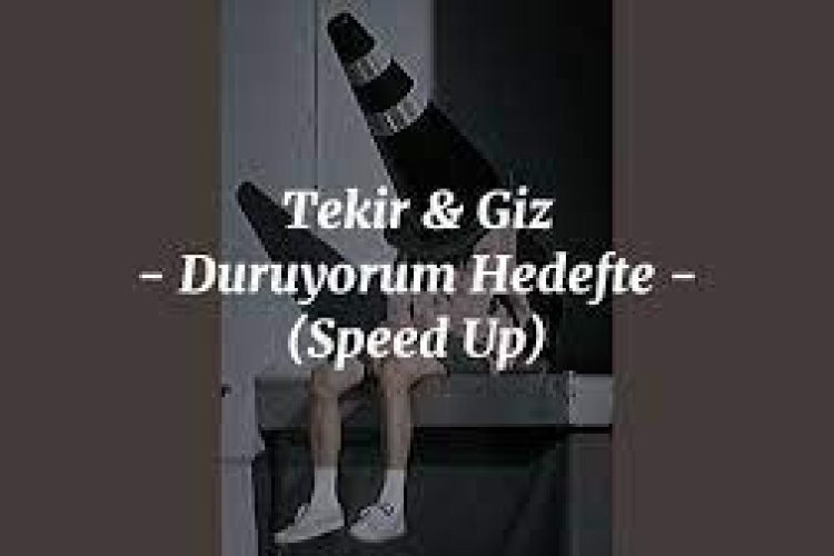 Tekir Giz - Duruyorum Hedefte