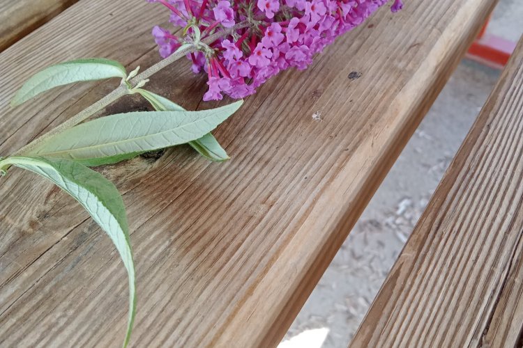 Güzel bir gün olsun Dua ile