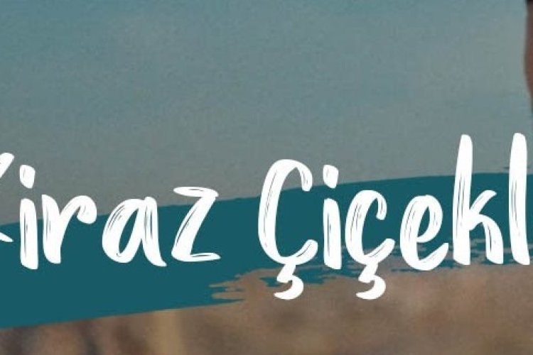 Gökhan Türkmen Kiraz Çiçekleri