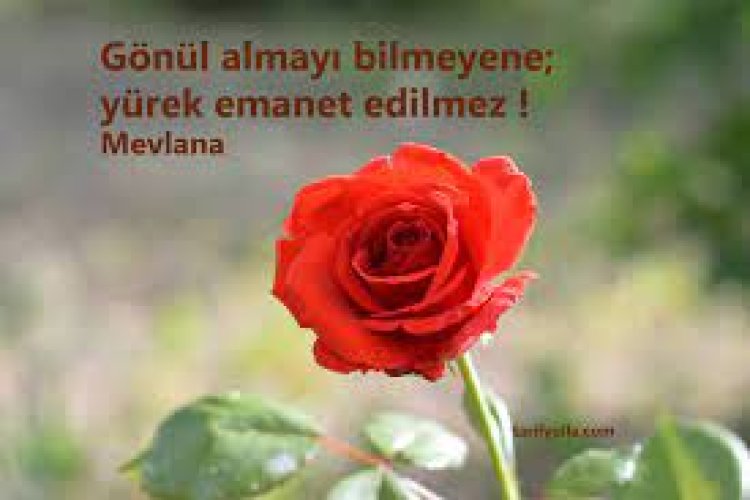 Bizim Gönül - Emanet