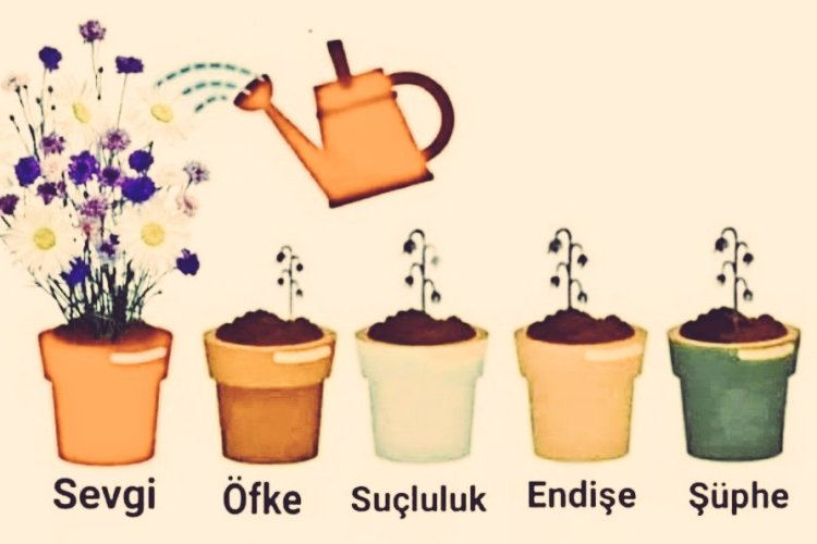 En Anlamlı Günaydın Sözleri
