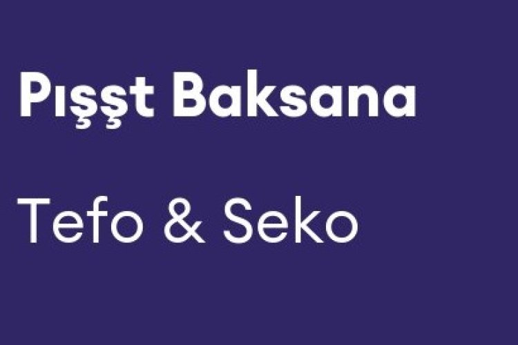 Tefo & Seko - Pışşt Baksana