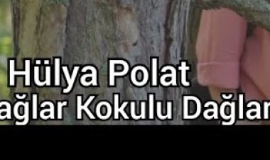 Hülya Polat - Dağlar Kokulu Dağlar şarkı sözleri