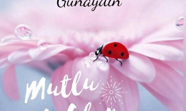 erkenci tayfa  mutlu sabahlar