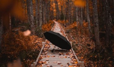 İnsan kalbinde ne taşıyorsa