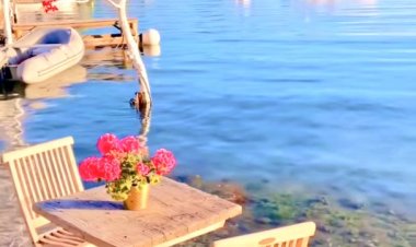 Ağzımda dünyanın bütün sevgi sözleri