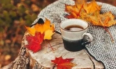 Vefayı bilmeyen,tadar mı hiç sevdayı