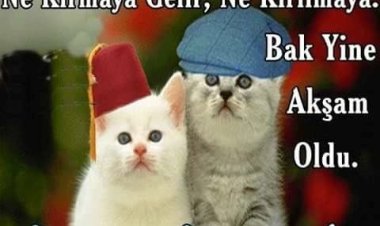 Gün yine Akşama döndü İyi akşamlar