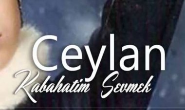 Ceylan - Kabahatim Sevmek şarkı sözleri