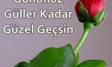 Gününüz muhteşem geçsin