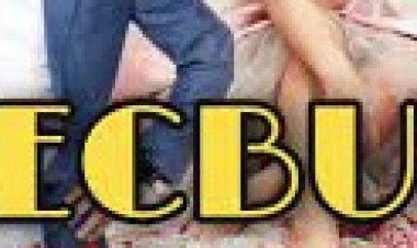 Ayla Çelik - Mecbur şarkı sözleri