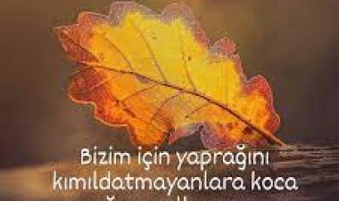Düşmüşüz zaman zaman zarara ziyana