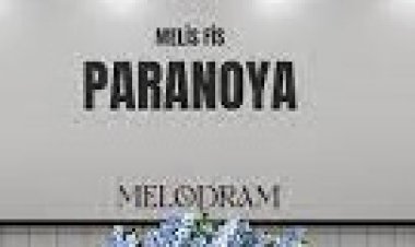 Melis Fis - Paranoya  şarkı sözleri