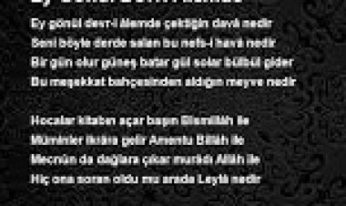 Musa Eroğlu Güler Duman - Ey Gönül Devr-i Alemde sözleri
