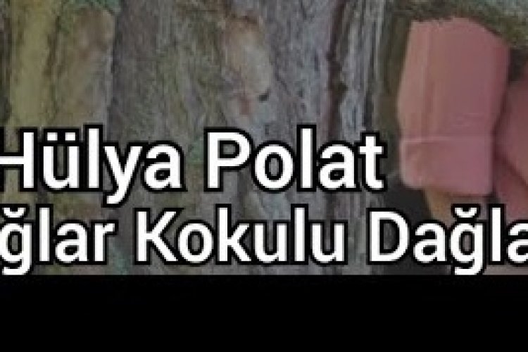 Hülya Polat - Dağlar Kokulu Dağlar