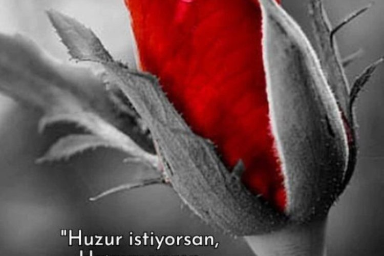 Hedef Rıza ise, Kalk heybeni hazırla