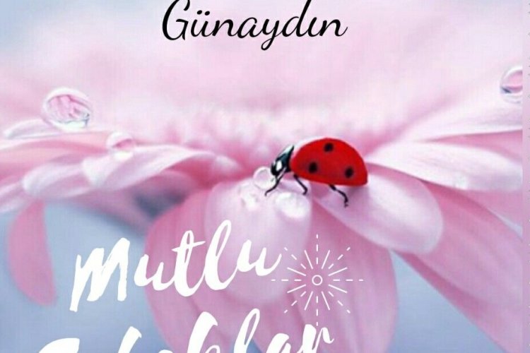 erkencitayfa #mutlusabahlar