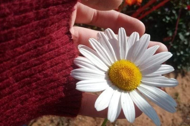 Perşembe Huzurla