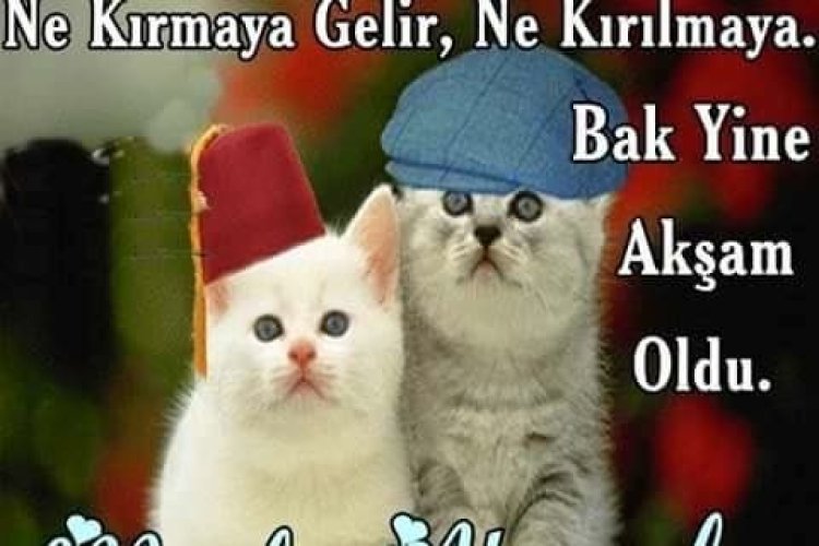 Gün yine Akşama döndü İyi akşamlar