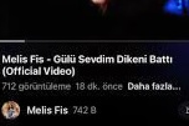 Melis Fis - Gülü Sevdim Dikeni Battı