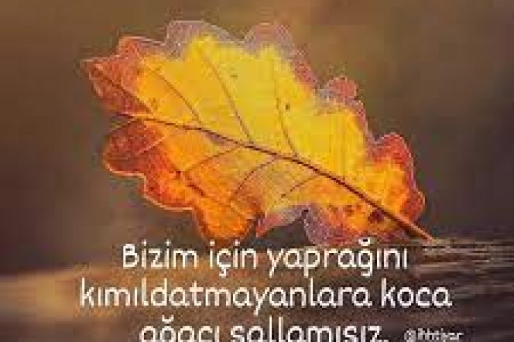 Düşmüşüz zaman zaman zarara ziyana