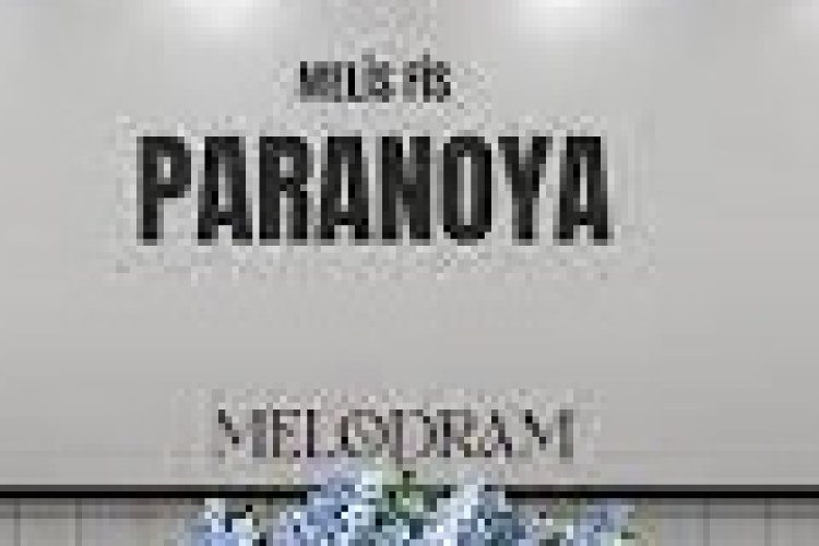Melis Fis - Paranoya