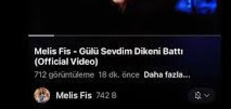 Melis Fis - Gülü Sevdim Dikeni Battı şarkı sözleri