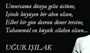 Uğur Işılak - DUR PATRON DUR şarkı sözleri