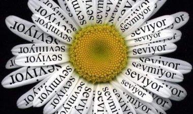 Aşkın Görseli Değil