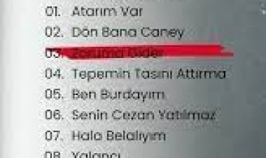 Fikret Delikanlı - Zoruma Gider şarkı sözleri