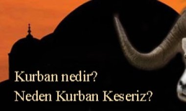 Kurban Nedir