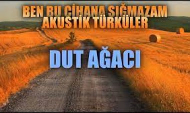 DUT AĞACI - Enes Yolcu şarkı sözleri