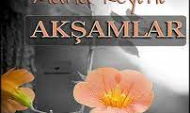 Keyifli akşamlar olsunmu