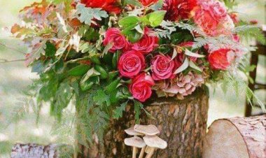 Mevlana çok güzel özetlemiş