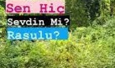 Mesut Biçim - Sen hiç sevdin mi Rasülü ilahi sözleri
