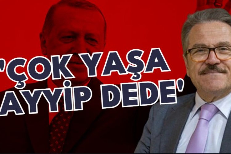 Tayyip Dede şarkısı sözleri