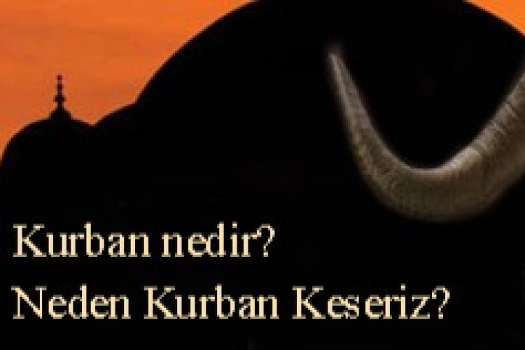 Kurban Nedir