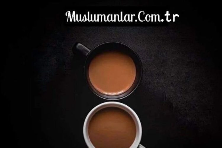 Muslumanlar Sohbet