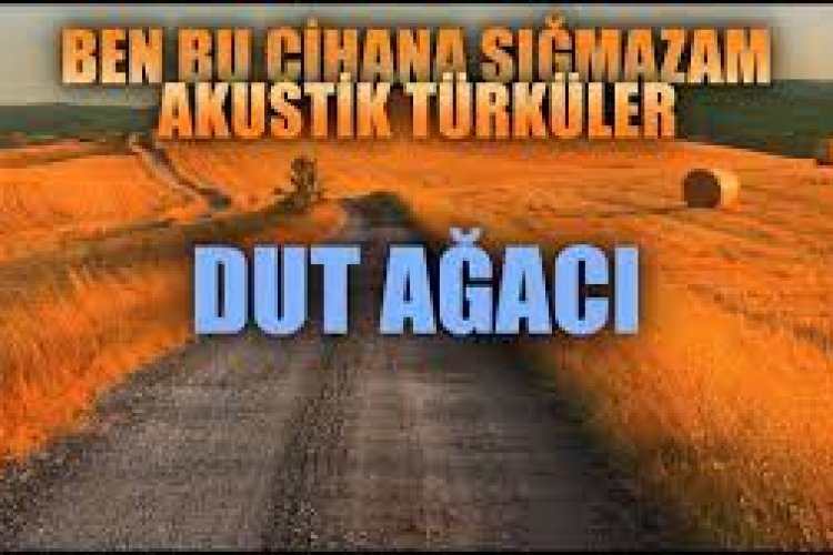 DUT AĞACI - Enes Yolcu
