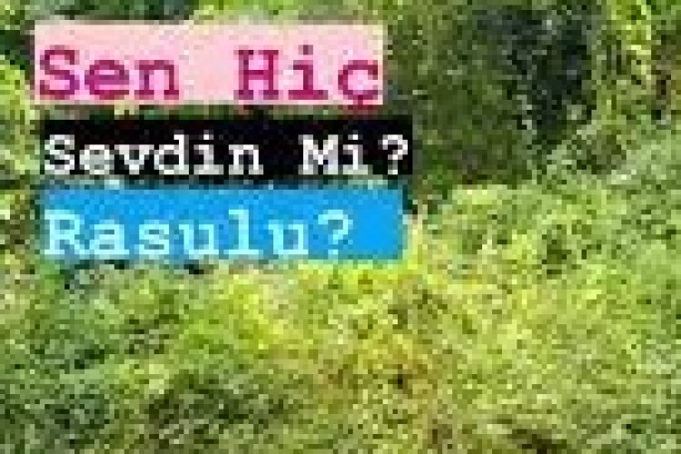 Mesut Biçim - Sen hiç sevdin mi Rasülü