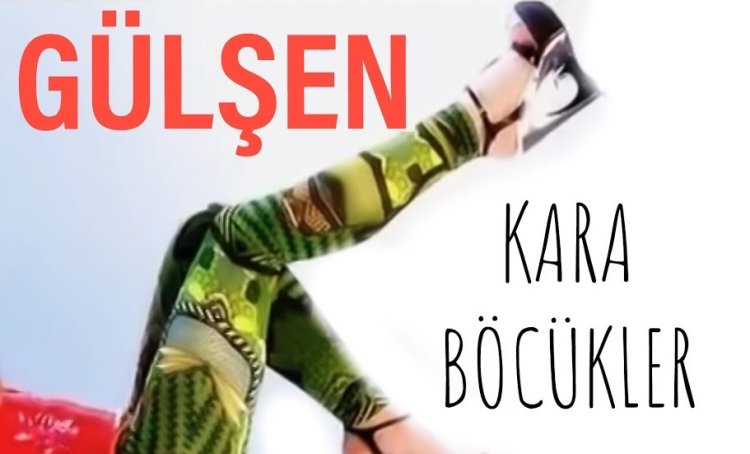 Gülşen - Kara Böcükler şarkı sözleri