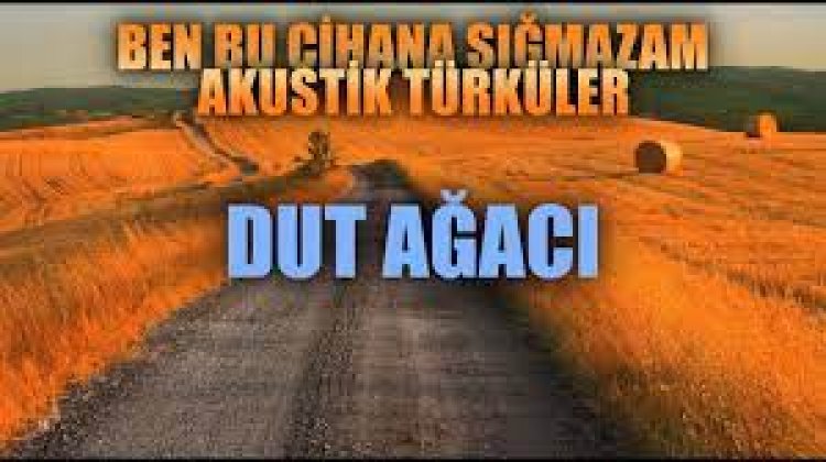 DUT AĞACI - Enes Yolcu şarkı sözleri