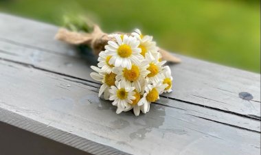 Günaydın..Mutlu neşeli hayırlı bir gün olsun