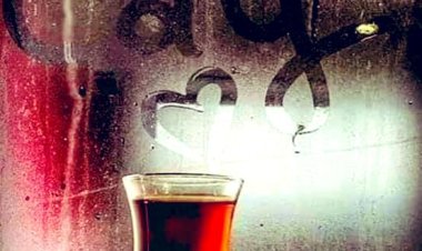 Sorma bana nasılsın diye